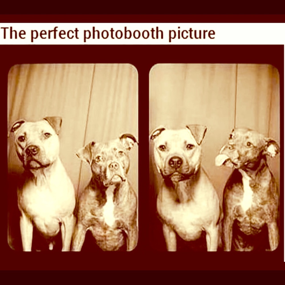 Meet your Posher, Suzy